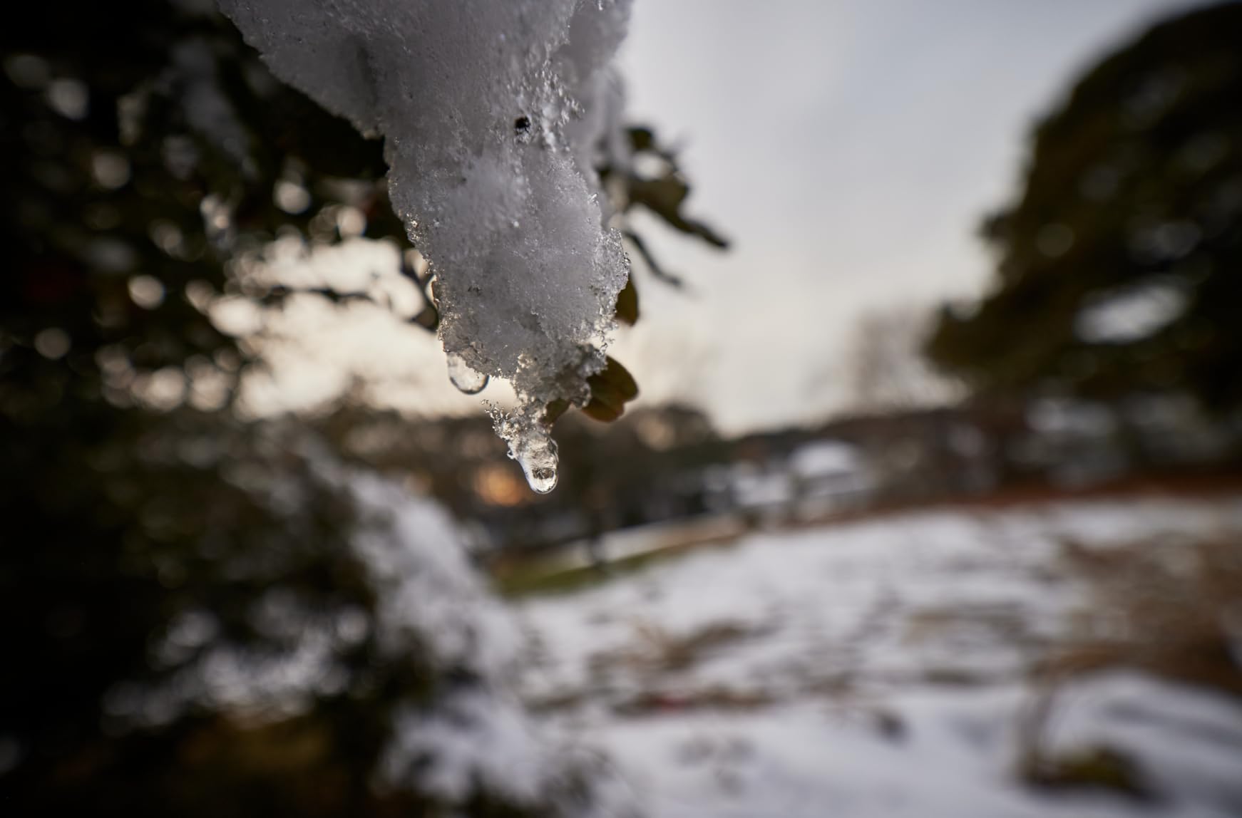 Rokinon AF 14mm F2.8 Ultra Wide Angle Lens for Canon EF Full Frame and APS-C – Weather Sealed, Fast Aperture, Quiet Autofocus, Built-in Hood, UMC Glass, Landscape, Architecture, Night Sky - Customer Photo 1