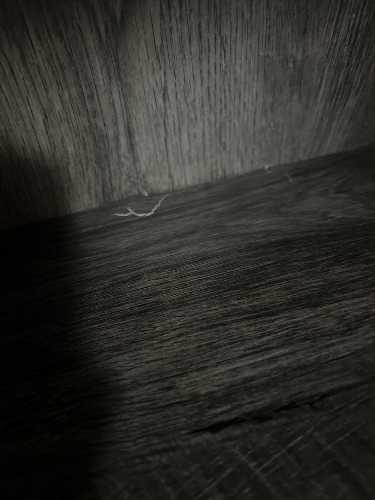 Bush Home Tall 5 Shelf Bookcase for Living Room or Home Office, Large Bookshelf, Modern Farmhouse Style, Key West Collection, Bing Cherry - Customer Photo 2