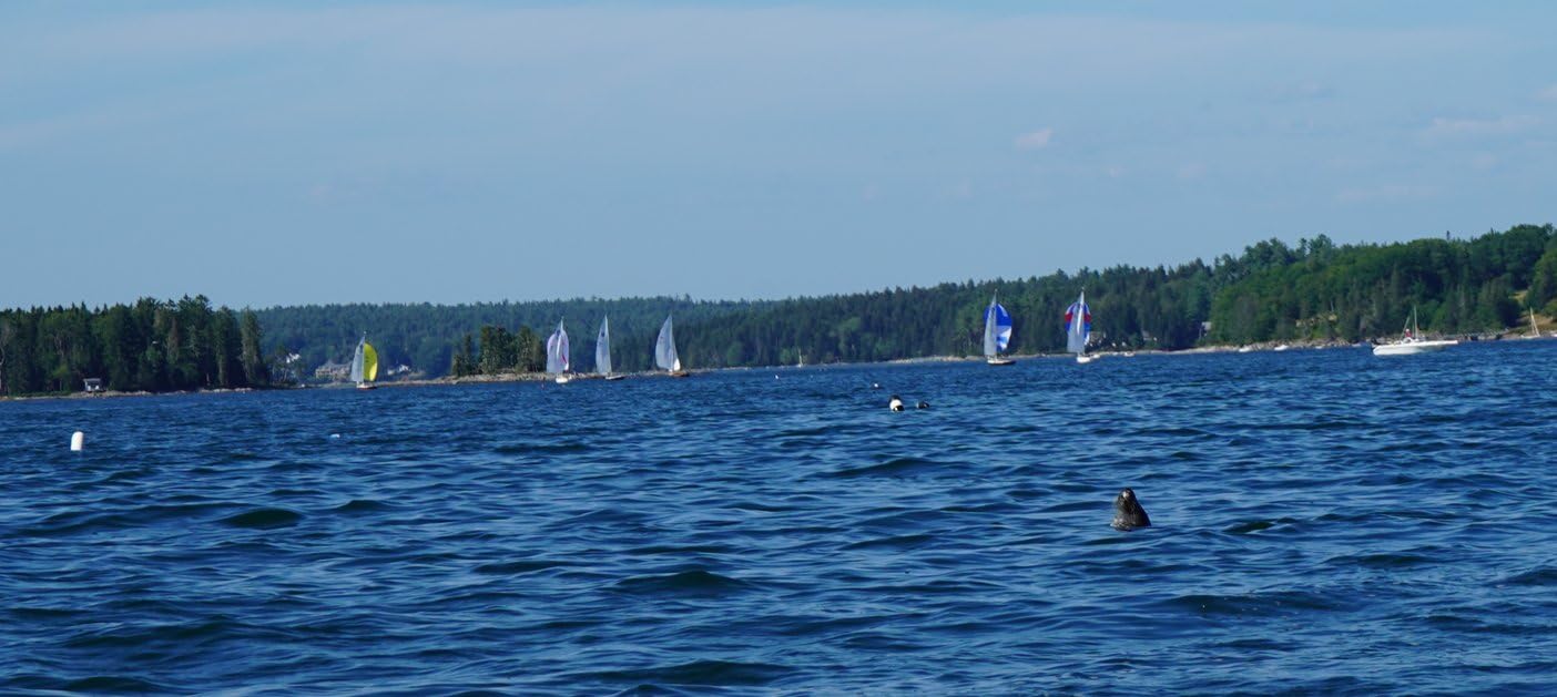 Sony a7 III (ILCEM3K/B) Full-frame Mirrorless Interchangeable-Lens Camera with 28-70mm Lens - Customer Photo 1