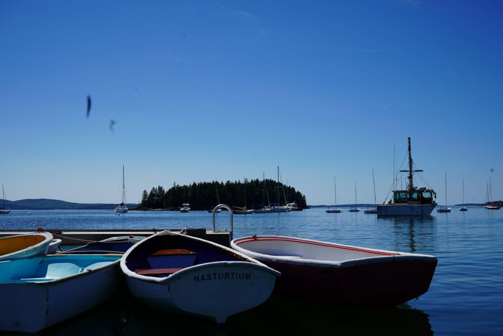 Sony Alpha 7 III Full-Frame Mirrorless Camera - 24.2MP with 28-70mm Lens - Customer Photo 2