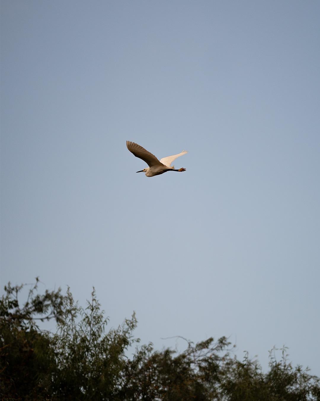 Sigma 135mm F1.8 Art DG HSM for Sony E - Customer Photo 5