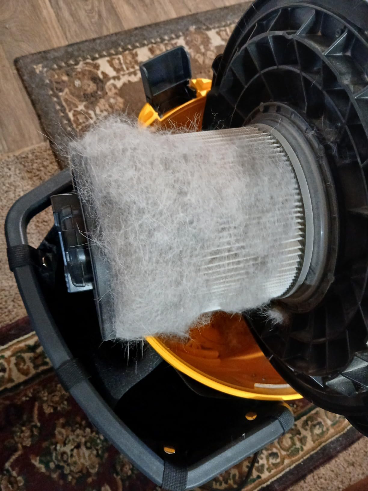 DEWALT 12 Gallon Poly Wet/Dry Vac, 5.5 HP Shop Vacuum Wet Vacuum Cleaner for Workshop, Jobsite, Commericial Area, Large Pick-Up Capacity, Yellow,DXV12P - Customer Photo 1