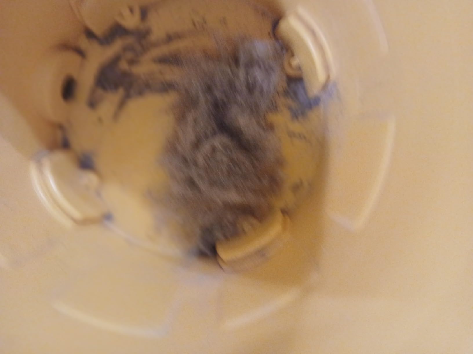 DEWALT 12 Gallon Poly Wet/Dry Vac, 5.5 HP Shop Vacuum Wet Vacuum Cleaner for Workshop, Jobsite, Commericial Area, Large Pick-Up Capacity, Yellow,DXV12P - Customer Photo 2