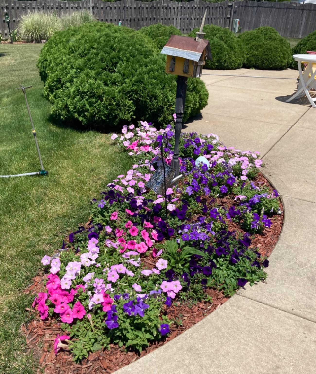 Plantskydd Animal Repellent - Repels Deer, Rabbits, Elk, Moose, Hares, Voles, Squirrels, Chipmunks and Other Herbivores; 3.5 LB Granular Shaker Jug (PS-VRD-3) - Customer Photo 2