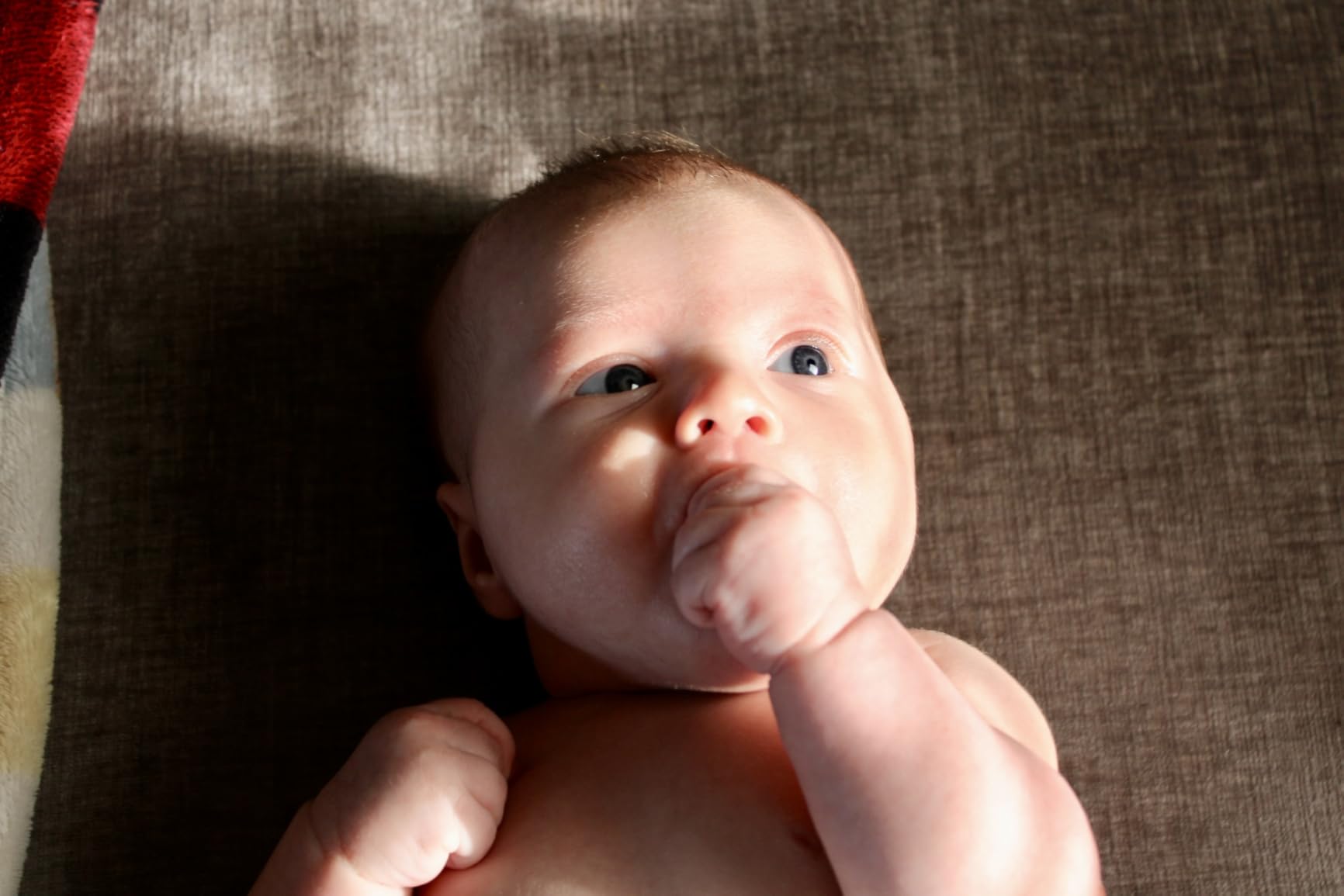 Canon EOS Rebel T7 DSLR Camera with 18-55mm Lens | Built-in Wi-Fi | 24.1 MP CMOS Sensor | DIGIC 4+ Image Processor and Full HD Videos - Customer Photo 2