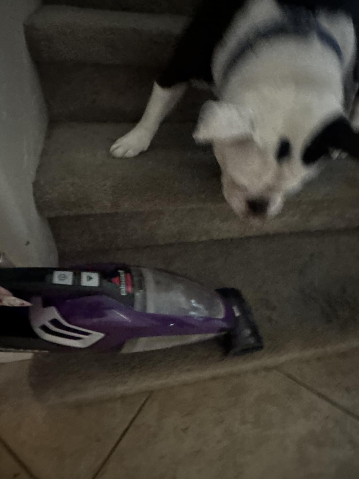 BISSELL Pet Hair Eraser Cordless Hand Vacuum, Lithium Ion, Home, Auto, and Pet Vacuum, Easy-Empty Dirt Bin, Upholstery Tool, Brush Tool, and Crevice Tool Included - Customer Photo 2
