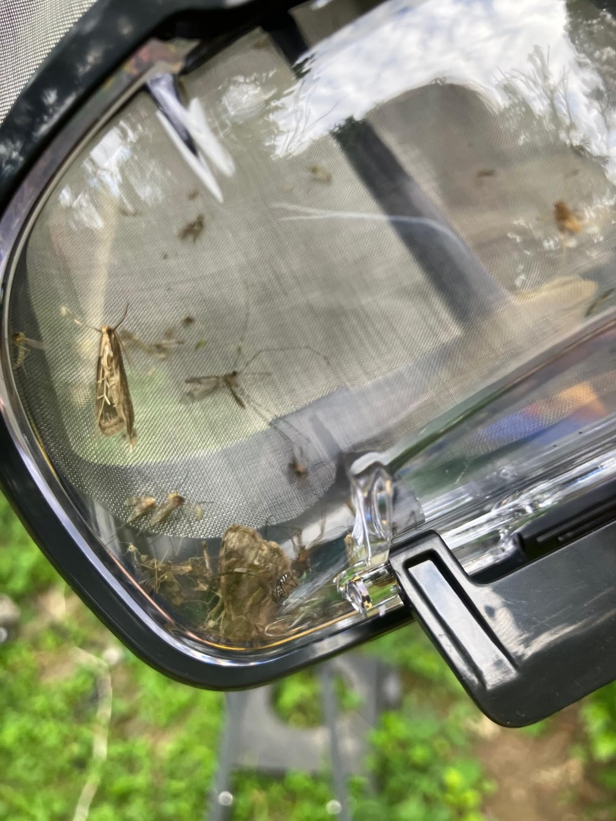 Mosquito Magnet MM4200B Patriot Plus Mosquito and Flying Insect Trap and Killer - Outdoor Fly Trap Protects Up to 1 Acre, Green - Customer Photo 1