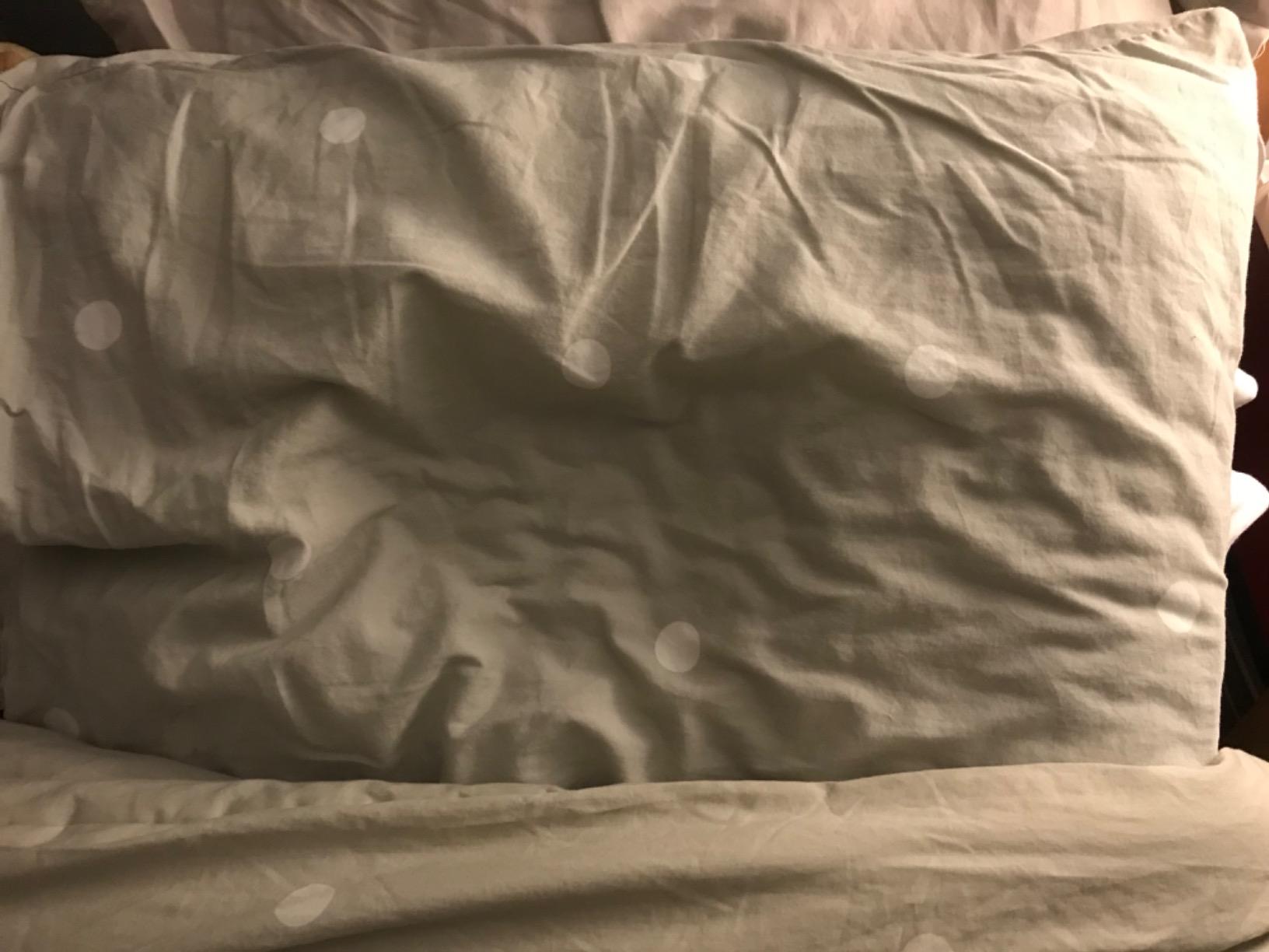 TEMPUR-Cloud Pillow for Sleeping, Standard, White - Customer Photo 1