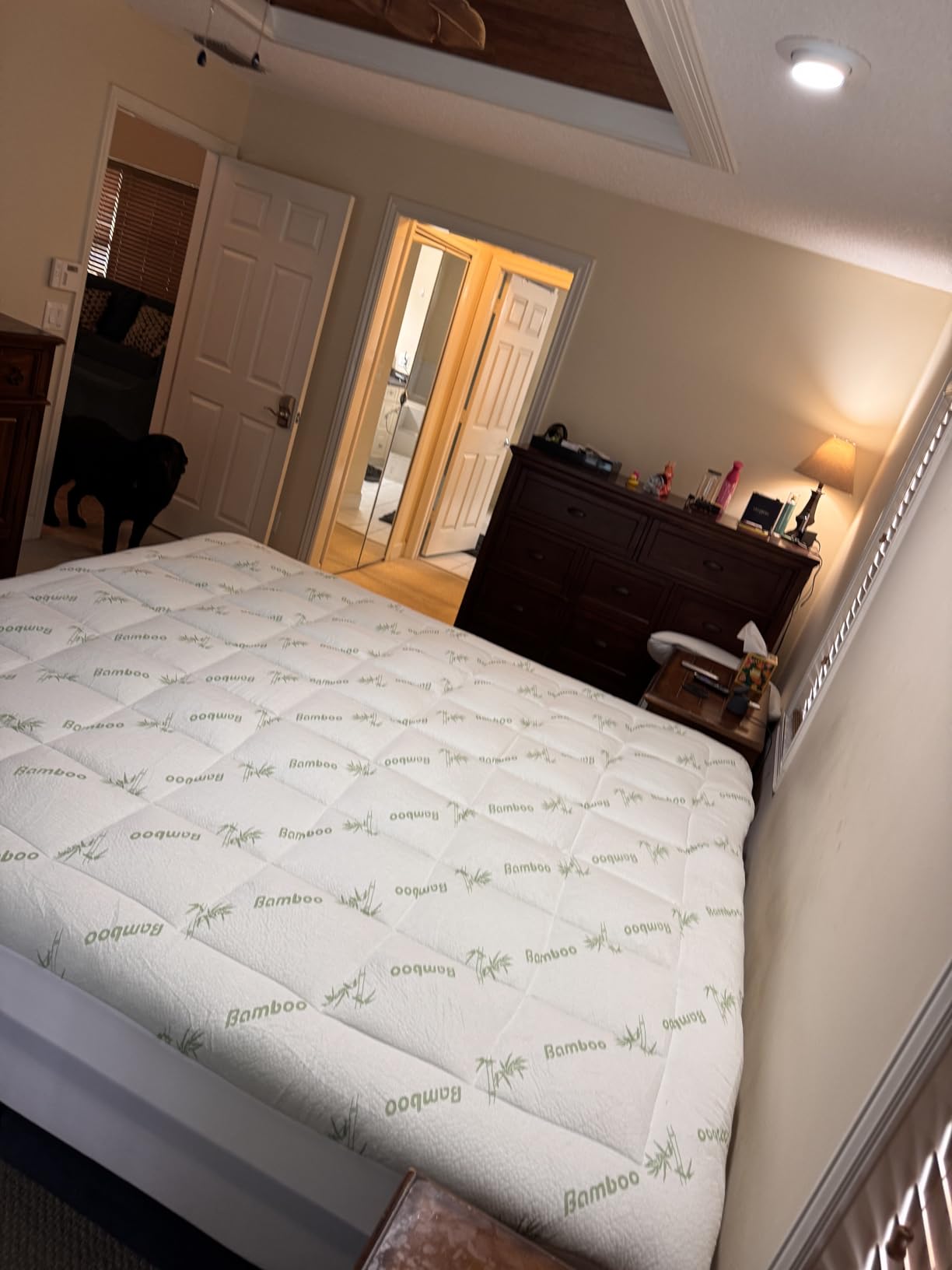 Ultra Soft Queen Size Mattress Topper - Viscose Made from Bamboo Pillow Top Mattress Pad for Back Pain Relief - Naturally Cooling for Hot Sleepers, Green - Customer Photo 1