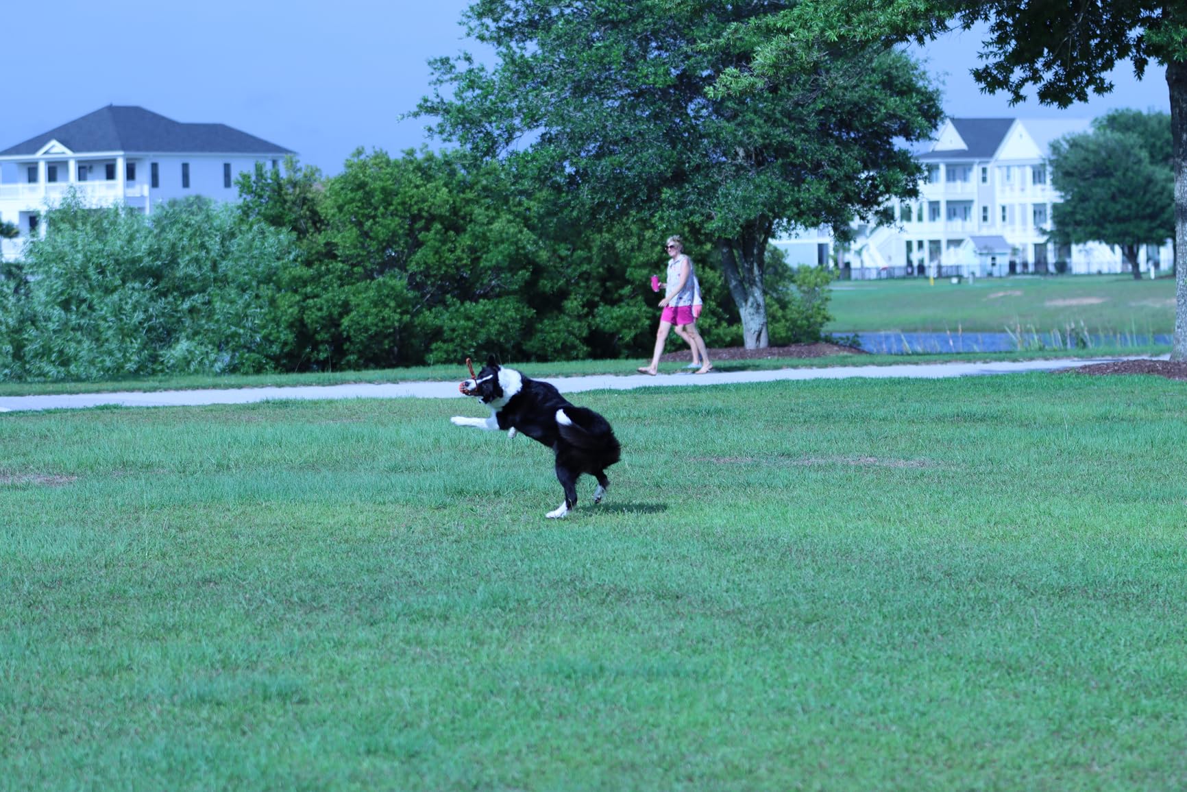 Canon EF 70-200mm f/2.8L IS III USM Lens for Canon Digital SLR Cameras, White - 3044C002 - Customer Photo 1