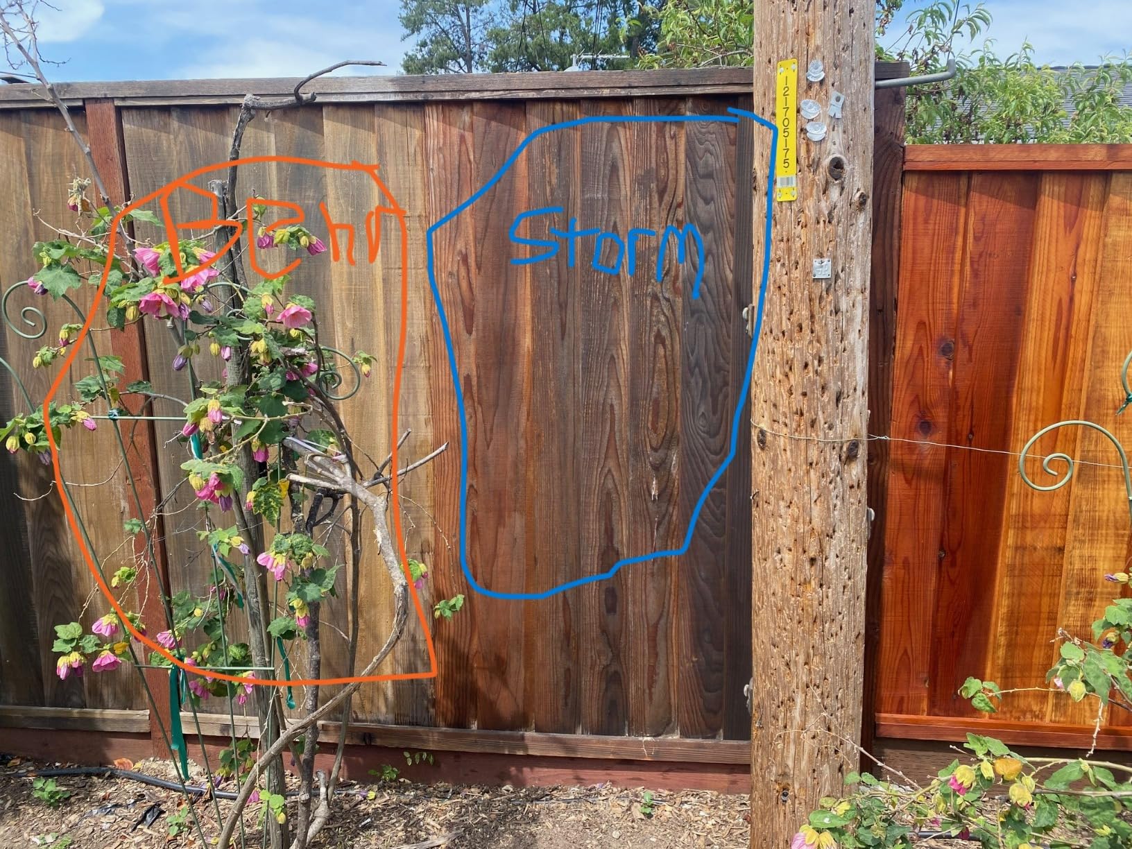 Storm System Protector - Cedartone, 1 Gallon, Protects Outdoor Wood from Water & UV Rays, Siding, Fence & Deck Stain and Sealer, Outdoor Wood Stain and Sealer - Customer Photo 2