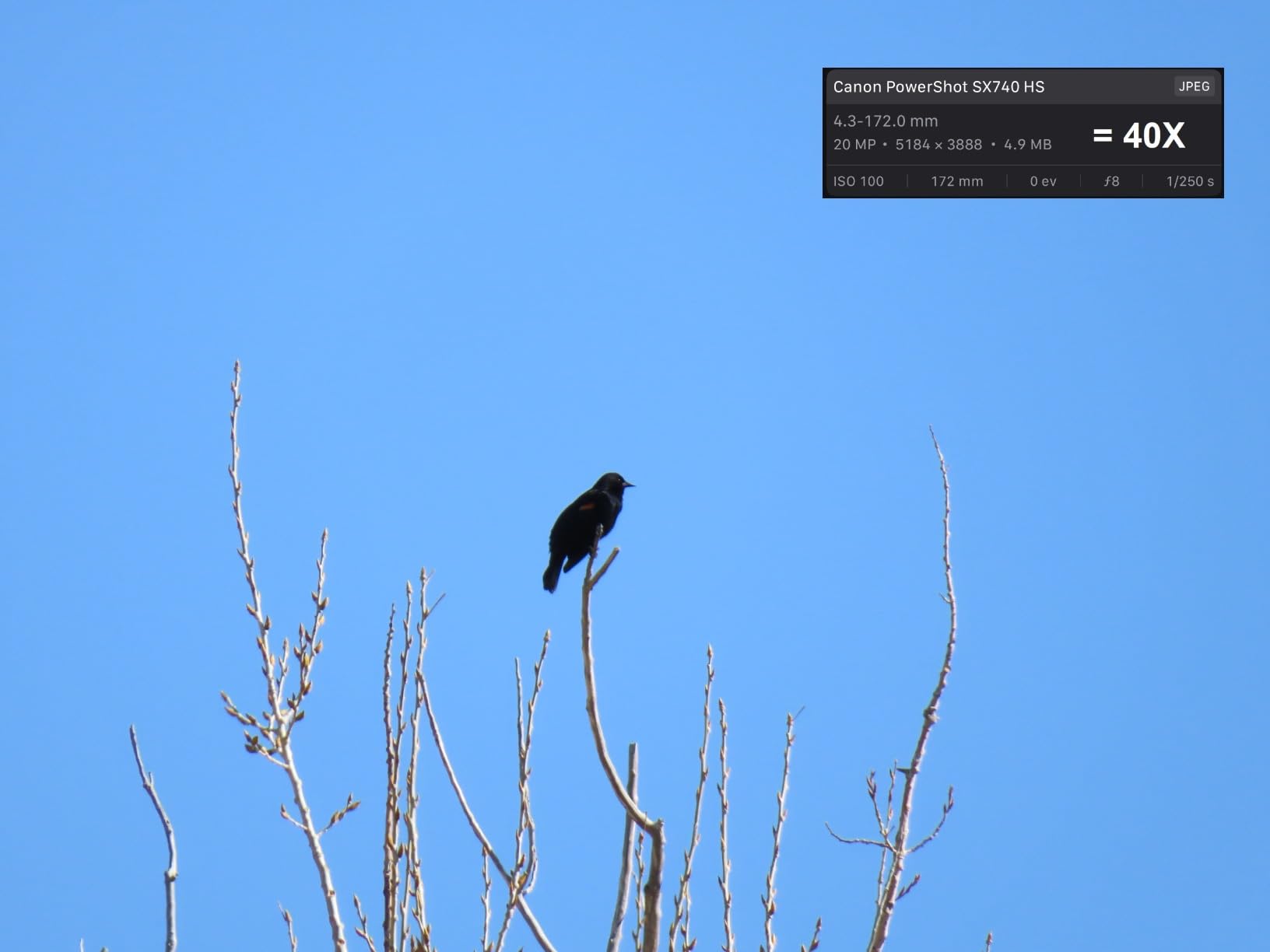 Canon Cameras US Point and Shoot Digital Camera with 3.0