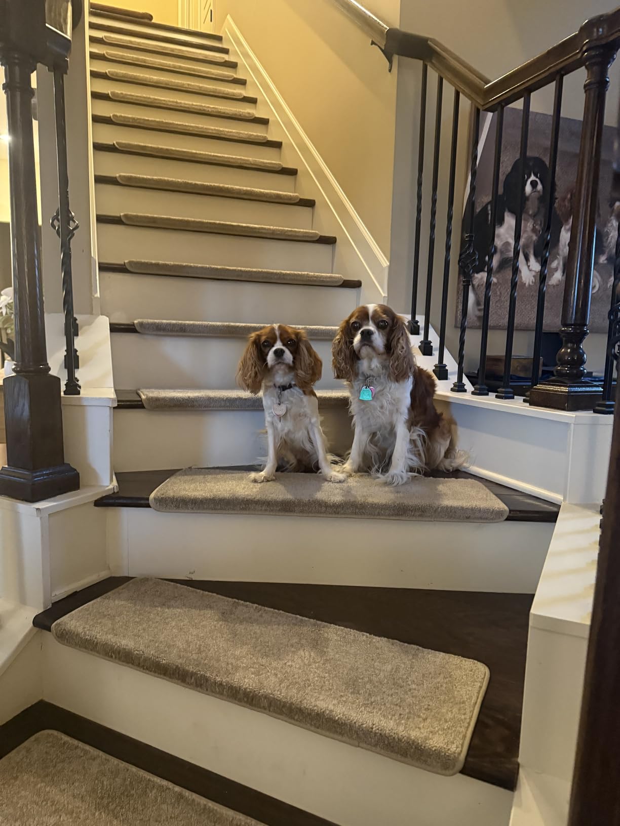 PURE ERA Bullnose Carpet Stair Treads Set Tape Free Non-Slip Indoor Stair Protectors Pet Friendly Rugs Covers Soft Skid Resistant Washable Reusable 9.5