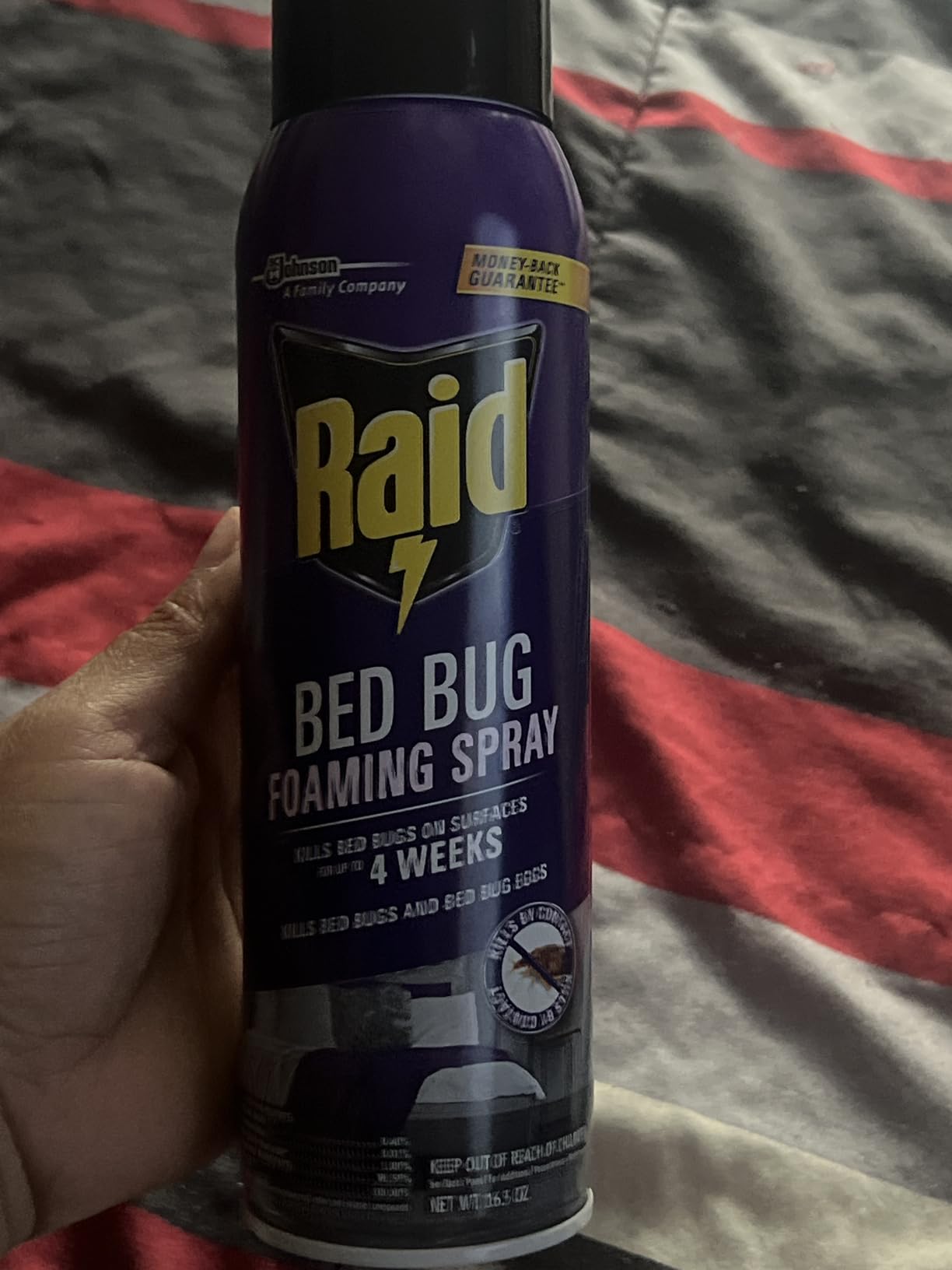 Raid Bed Bug Foaming Spray, Kills Bed Bugs and Their Eggs, for Indoor Use, Non-Staining, Keeps Killing for Weeks, 16.5 oz (Pack of 1) - Customer Photo 1