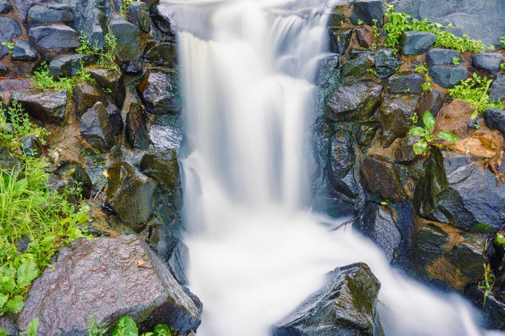 RF28-70mm F2 L USM Lens, Zoom Lens, Compatible with EOS R Series Mirrorless Cameras, Black customer photo 1