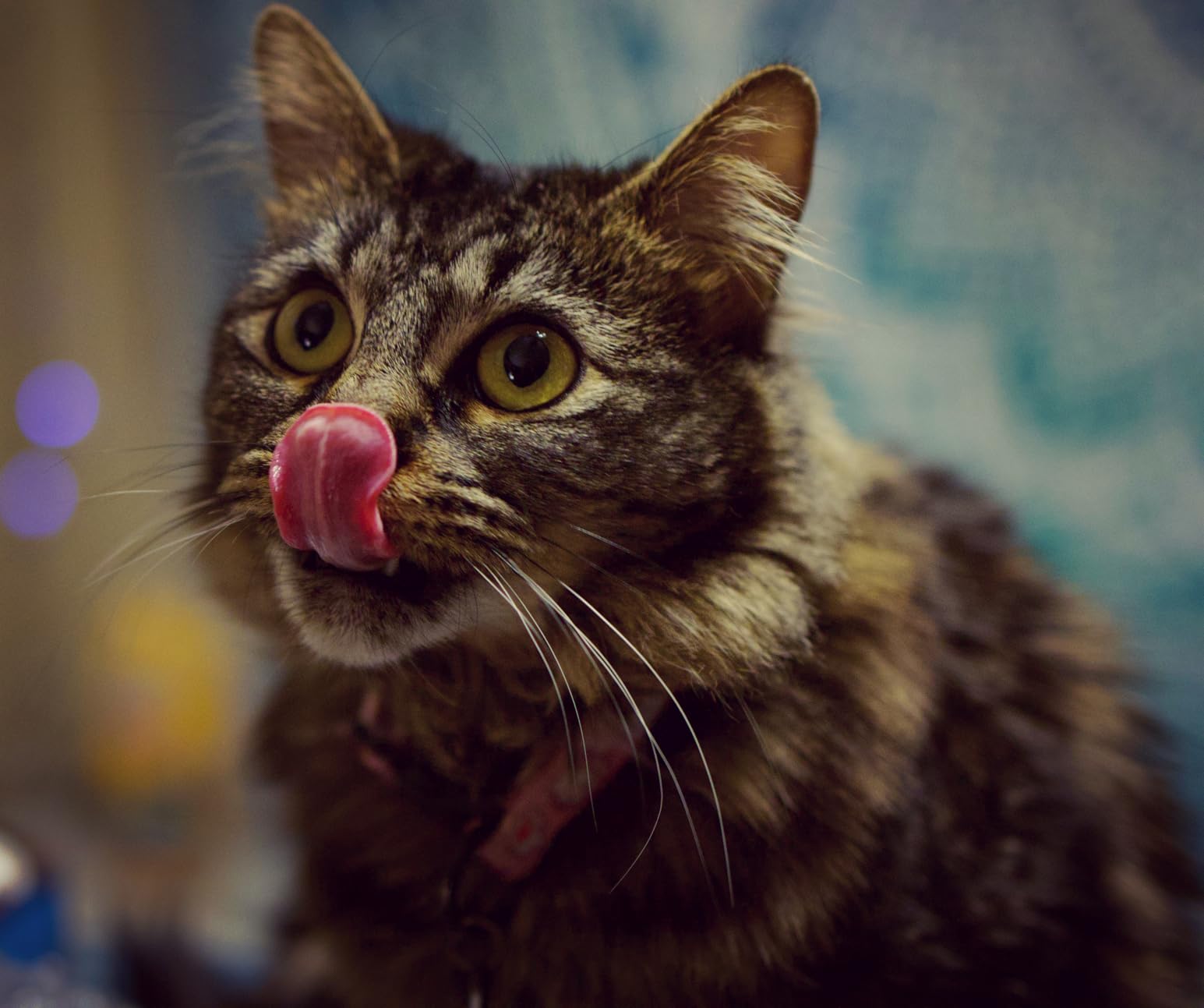 Canon RF35mm F1.8 is Macro STM Lens, Black - Customer Photo 1