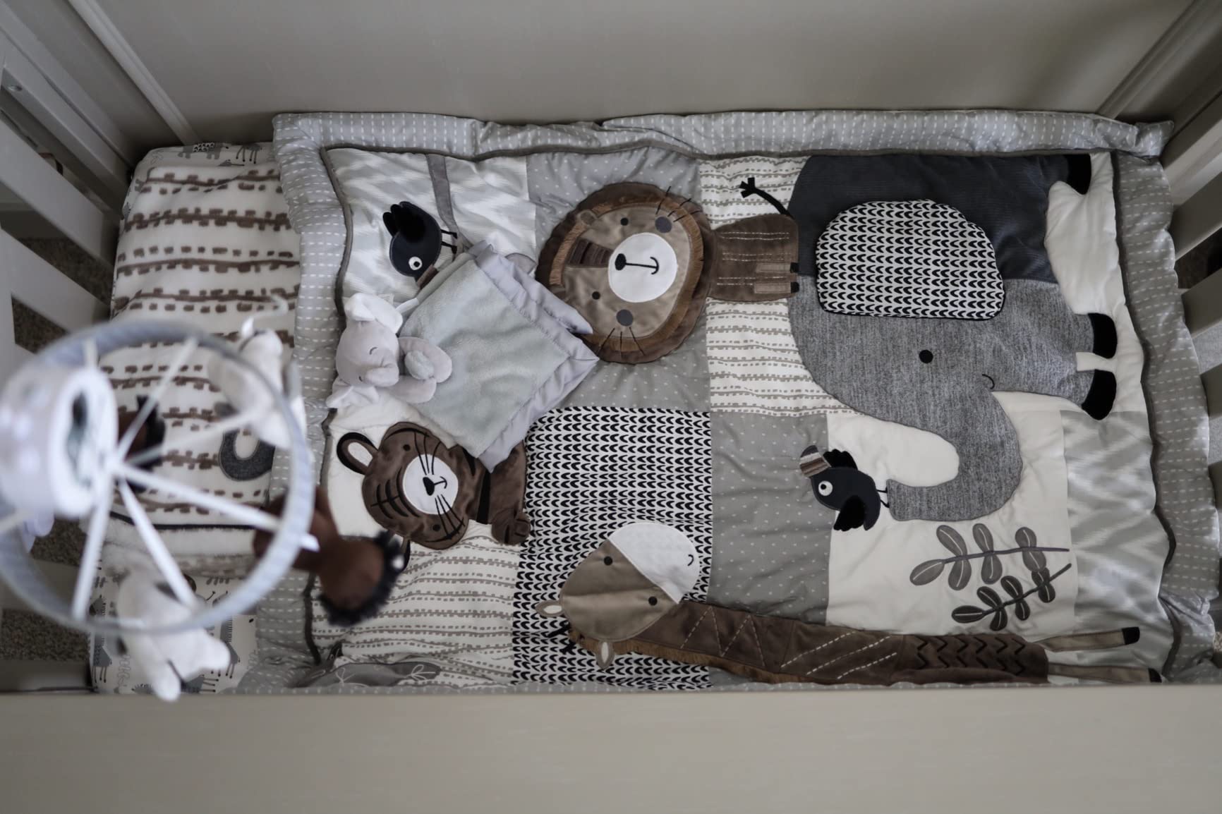 Canon RF35mm F1.8 is Macro STM Lens, Black - Customer Photo 4