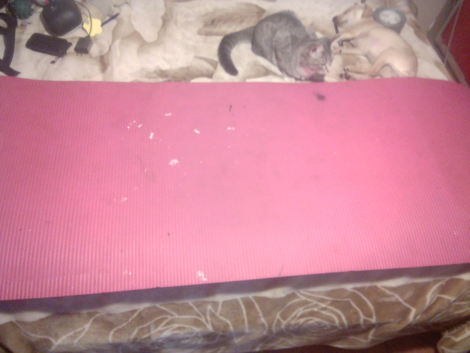 Gaiam Essentials 2/5