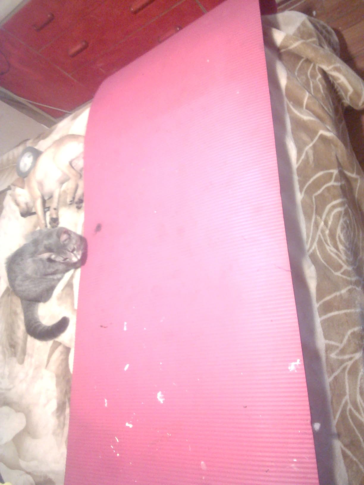 Gaiam Essentials 2/5