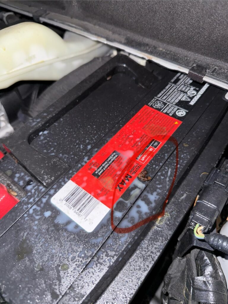 10 Best Rodent Repellent Sprays