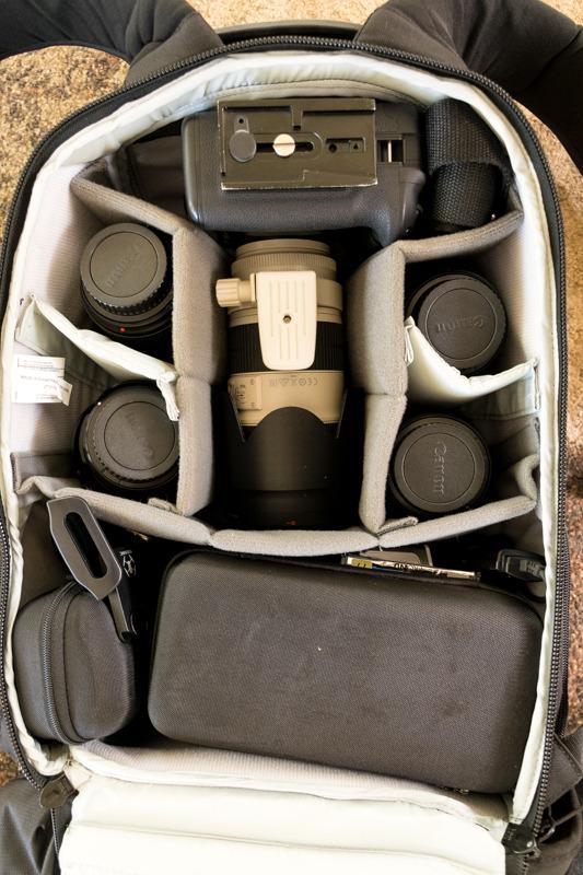 Lowepro ProTactic 450 AW II Black Pro Modular Backpack with All Weather Cover for Laptop Up to 15 Inch, Tablet, Canon/Sony Alpha/Nikon DSLR, Mirrorless CSC and DJI Mavic Drones LP37177-PWW, Black customer photo 2