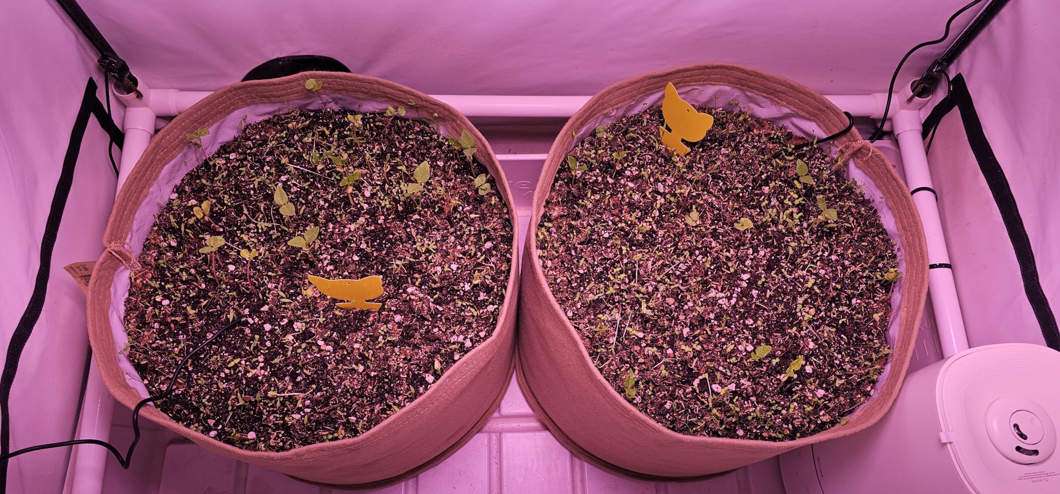 ECOWITT WH51 Soil Moisture Sensor Soil Humidity Tester - Accessory Only, Can Not Be Used Alone - Customer Photo 2