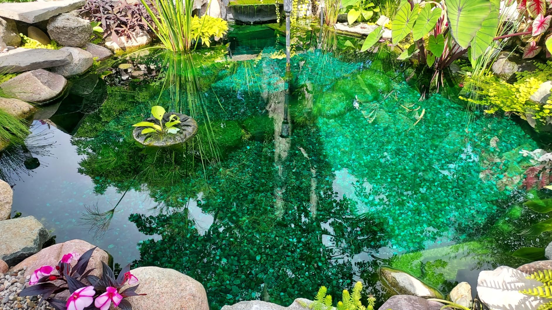 HALF OFF PONDS Savio Select 4,000 GPH Submersible Pump Pond Kit with 20' x 25' EPDM Rubber Pond Liner, UV Clarifier for Water Garden & Koi Pond - Customer Photo 2