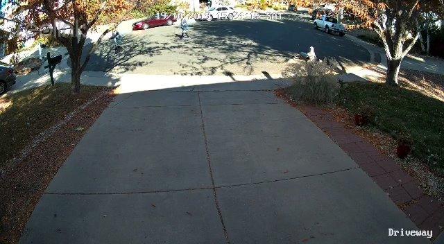 REOLINK 4K Security Camera System - H.265 4pcs PoE Security Cameras Wired with Person Vehicle Detection, 8MP/4K 8CH NVR with 2TB HDD for 24-7 Recording, RLK8-800B4 - Customer Photo 2