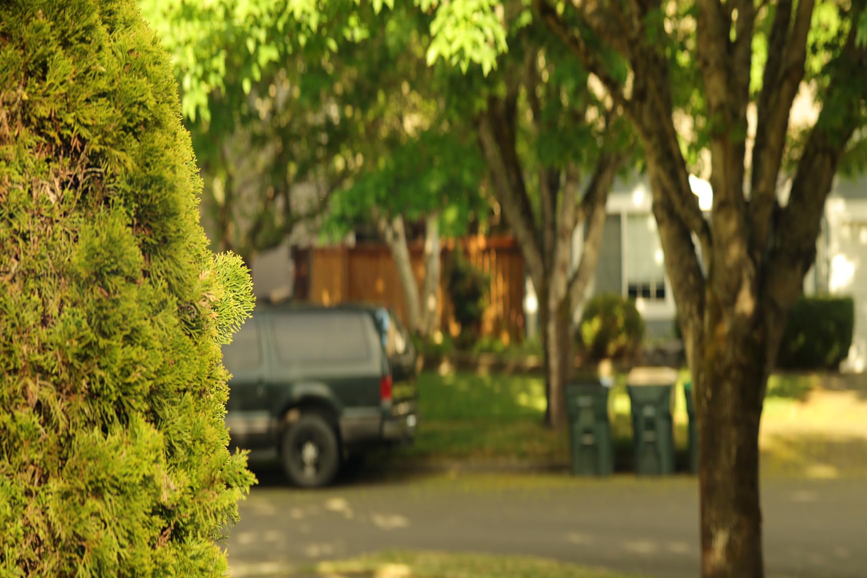 SIRUI 75mm F1.8 1.33X APS-C Anamorphic Lens for X Mount, Blue Flare - Customer Photo 1