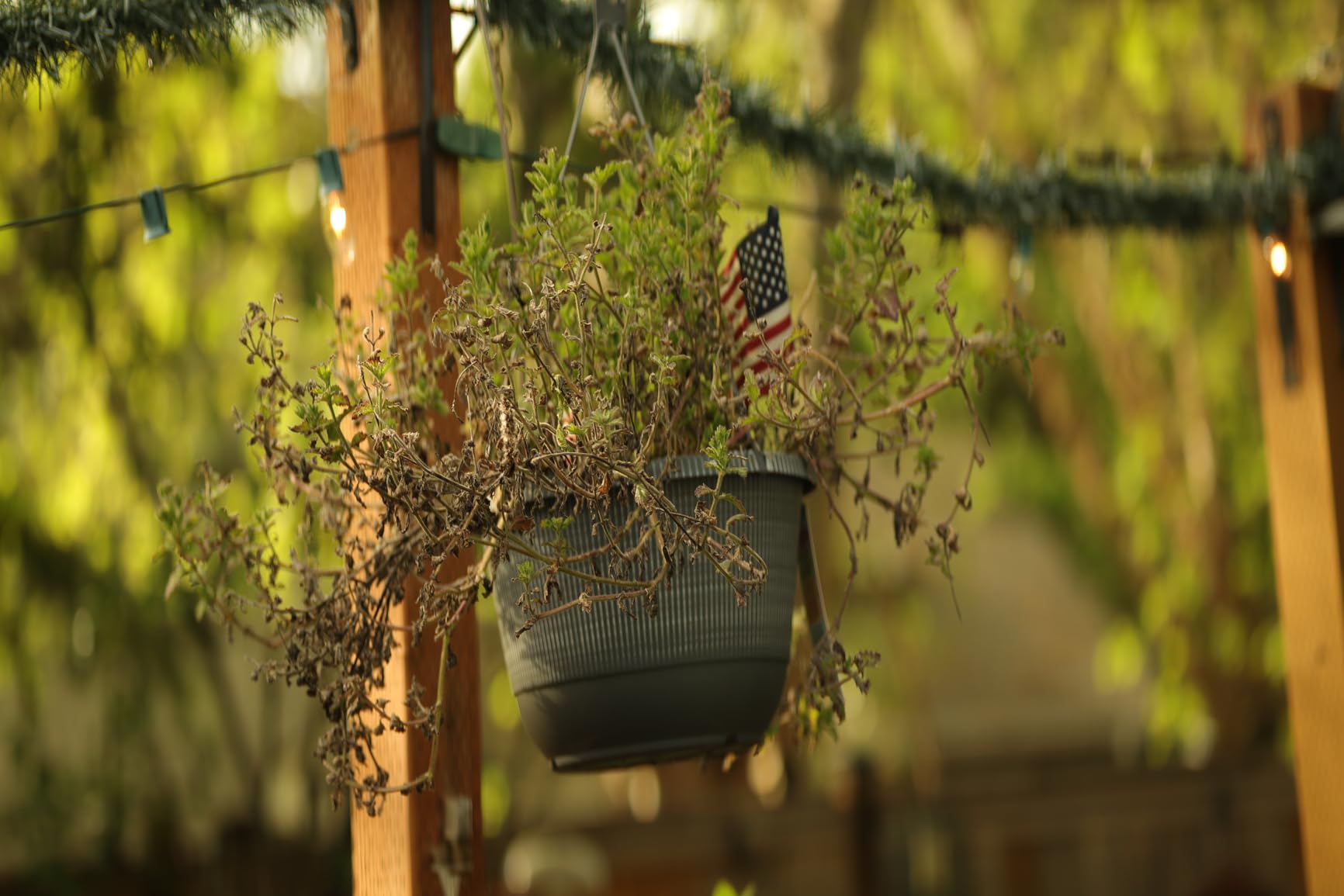 SIRUI 75mm F1.8 1.33X APS-C Anamorphic Lens for X Mount, Blue Flare - Customer Photo 3