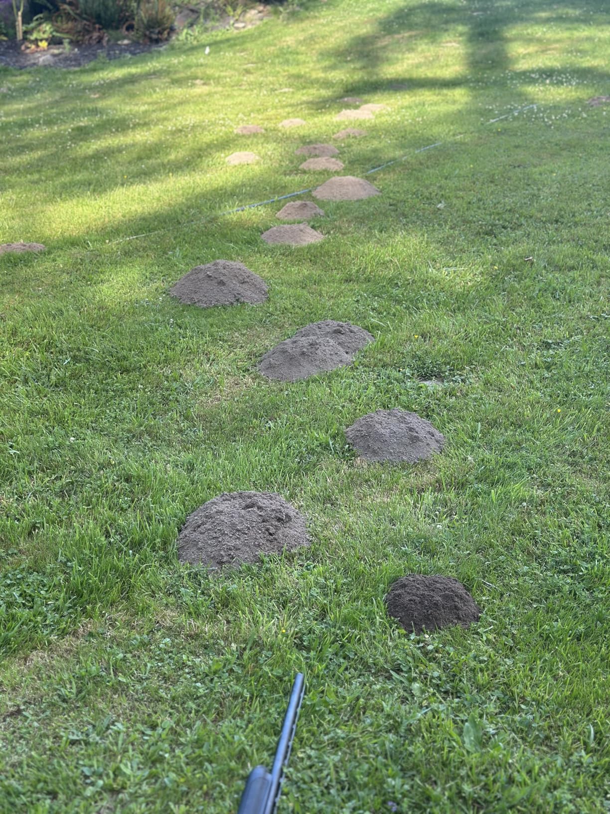 Victor Sonic Spike Mole Repellent - Customer Photo 2