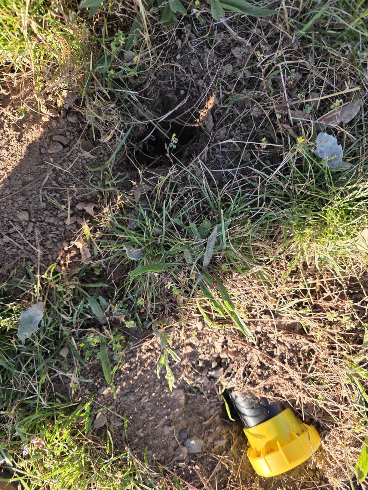 Victor Sonic Spike Mole Repellent - Customer Photo 5