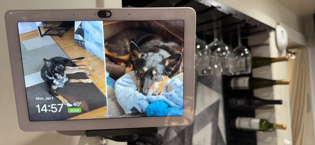 Best Smart Home Hubs for Beginners