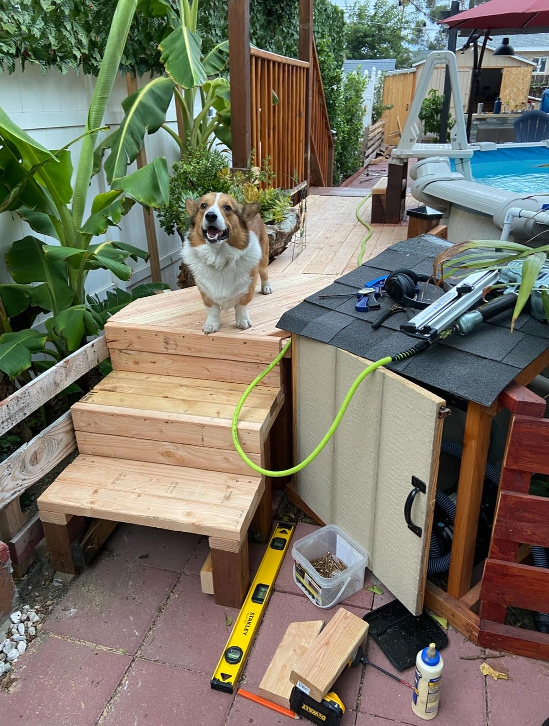 Metabo HPT Framing Nailer, Pro-Preferred Framing Tool For Flooring, Truss Build-Up, Roof Decking, and Housing Construction, Quick Switch Nailing, 3-1/2