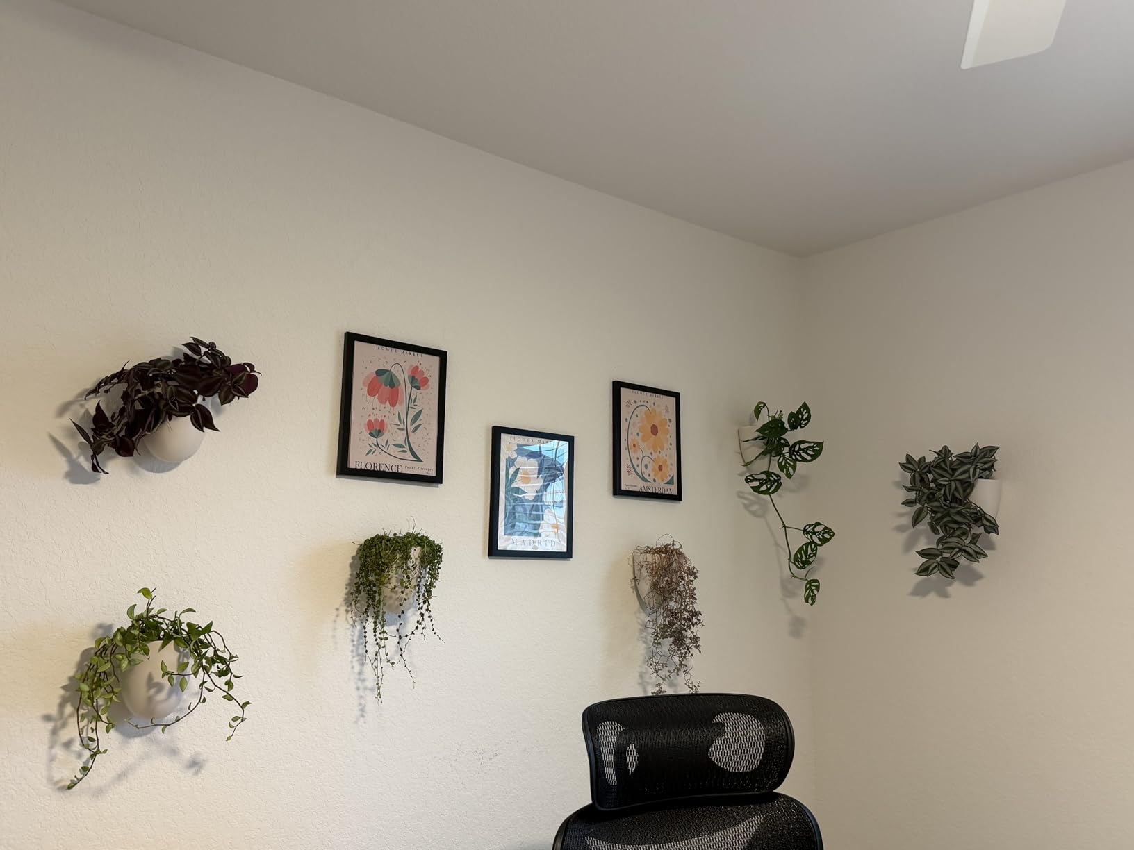 Make Good PlantPod Luxe - Self-Watering Wall Planters (Set of 6) - Easy to Water and Install - Lightweight - Design Your Own Vertical Garden - Wall Planters for Indoor Plants - Customer Photo 1