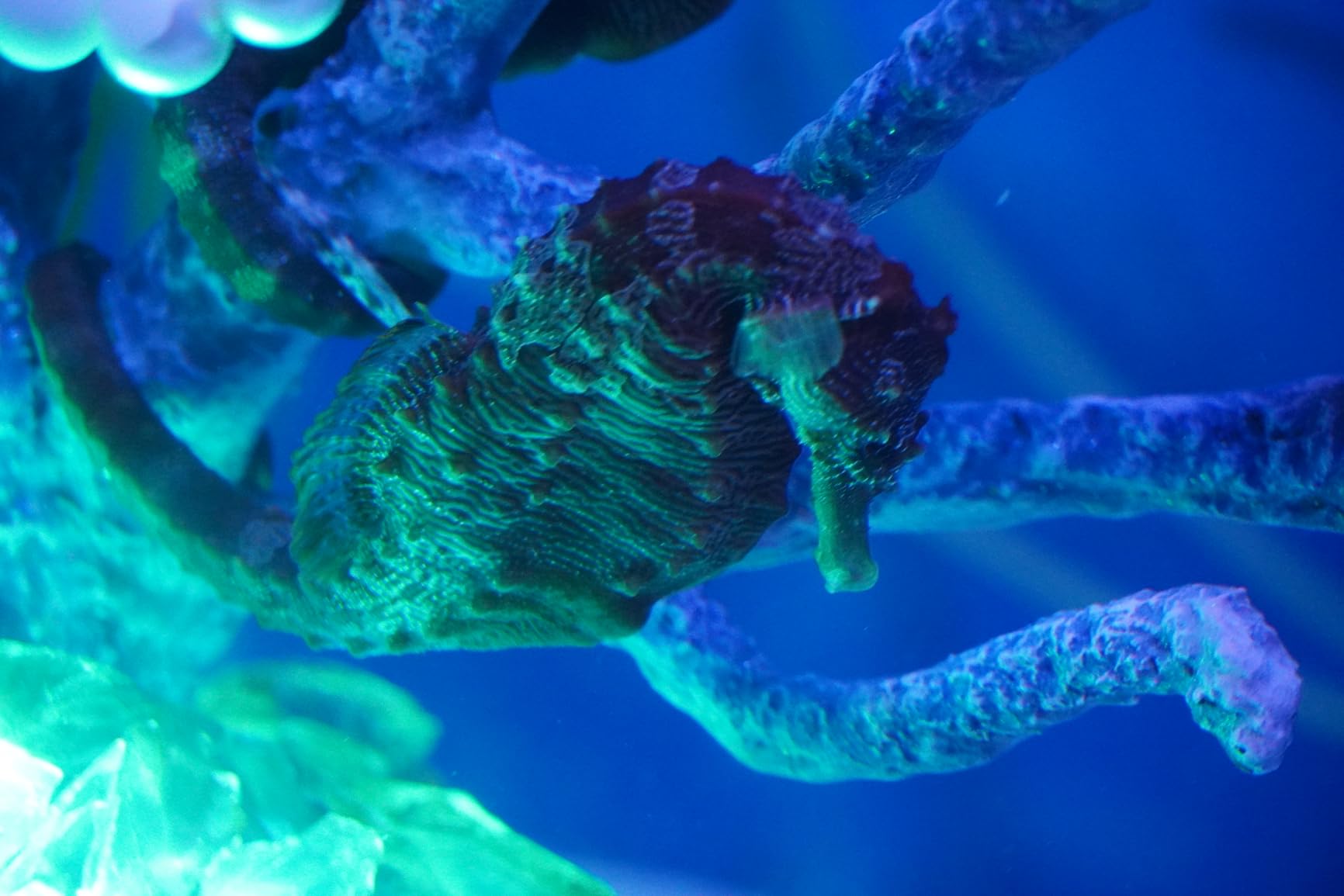 Sony Alpha a6400 Mirrorless Camera: Compact APS-C Interchangeable Lens Digital Camera with Real-Time Eye Auto Focus, 4K Video, Flip Screen & 18-135mm - E Mount Compatible Cameras ILCE-6400M/B - Customer Photo 1