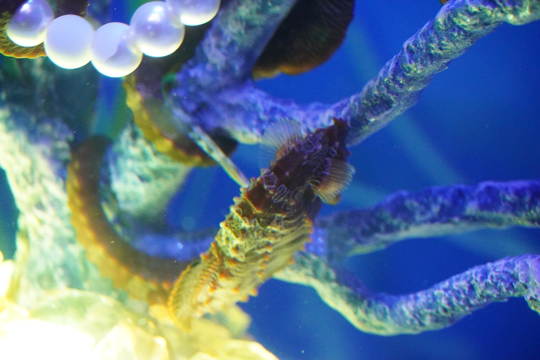 a6400 Mirrorless Interchangeable-Lens Camera with 18-135mm Lens (Black) customer photo 1