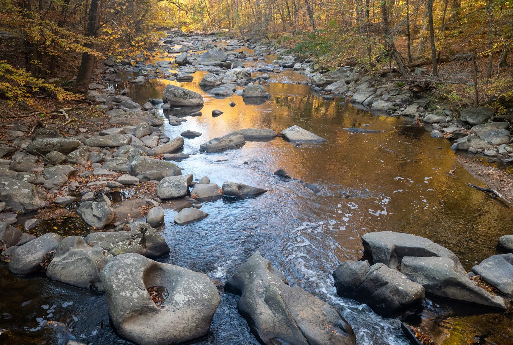 Nikon NIKKOR Z 24-70mm f/2.8 S | Professional large aperture mid-range zoom lens for Z series mirrorless cameras | Nikon USA Model - Customer Photo 1