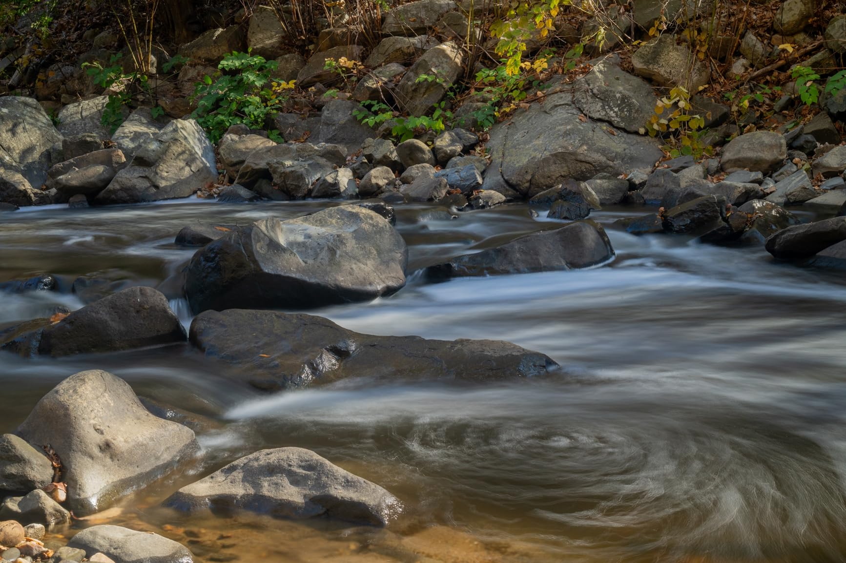 Nikon NIKKOR Z 24-70mm f/2.8 S | Professional large aperture mid-range zoom lens for Z series mirrorless cameras | Nikon USA Model - Customer Photo 2