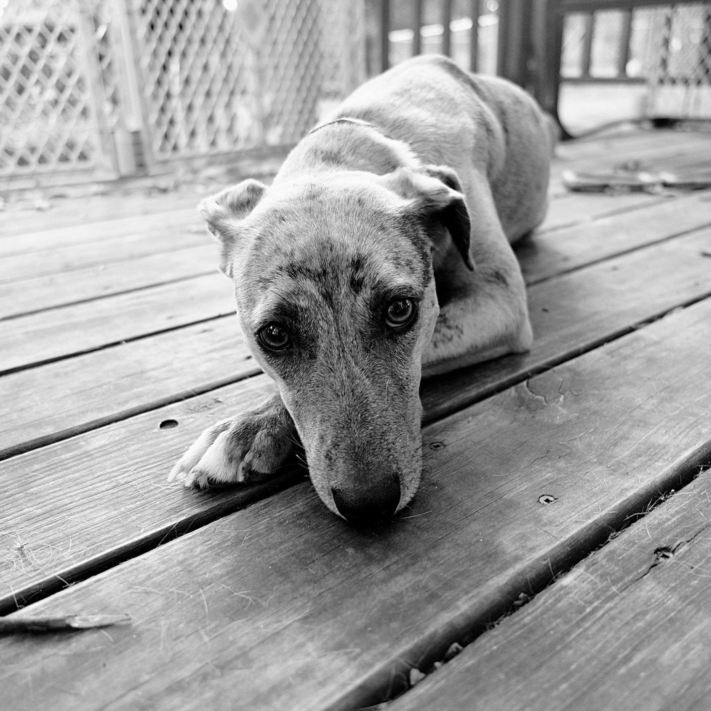 Fujifilm Fujinon XF16mmF2.8 R WR Lens - Black - Customer Photo 1