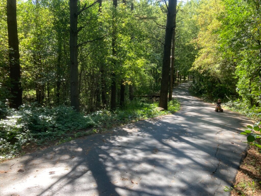 10 Best Driveway Alarm Systems