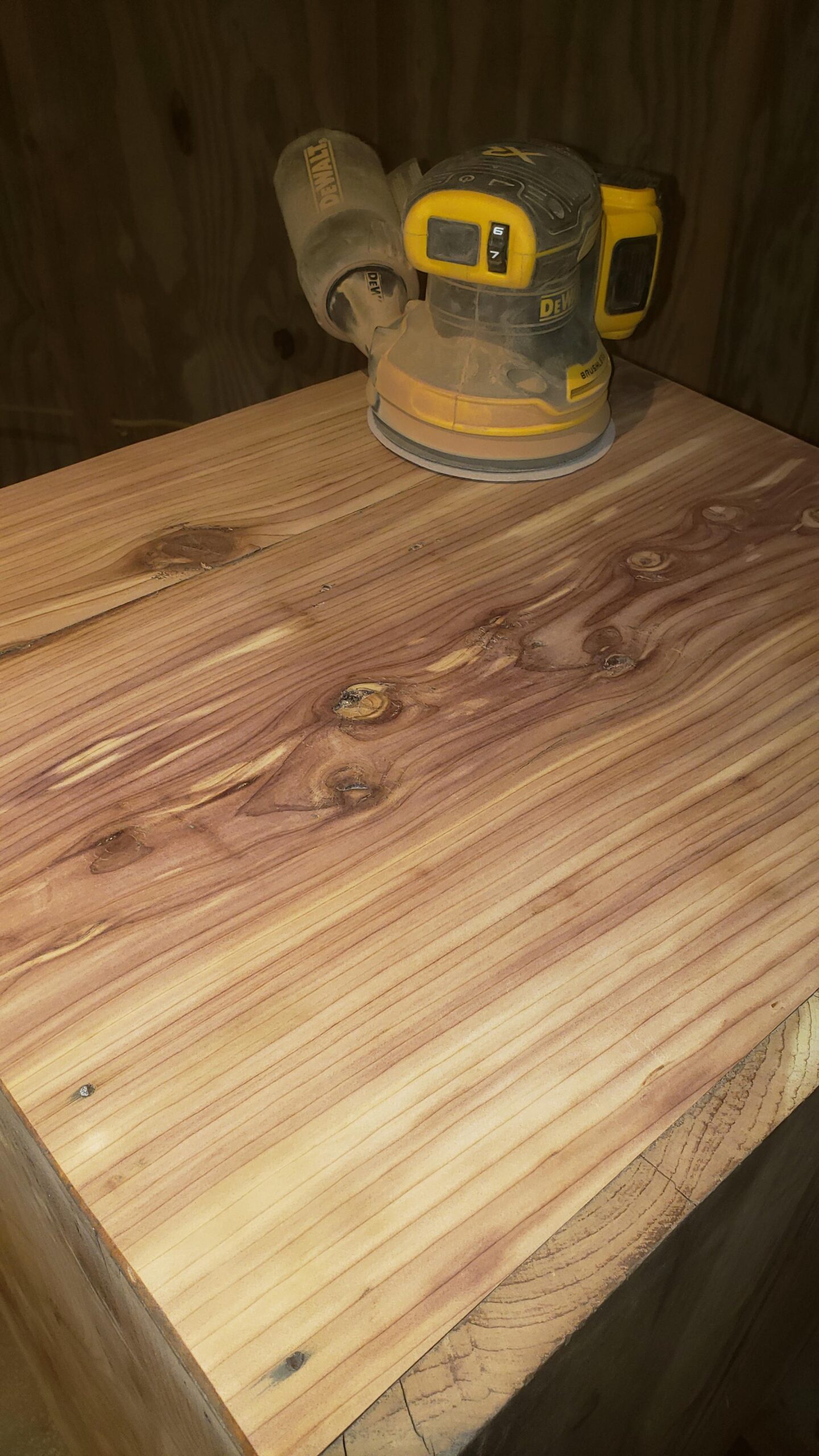 DEWALT 20V MAX Orbital Sander Cordless, 5-Inch Sander Tool, Battery and Charger Included (DCW210D1) - Customer Photo 1