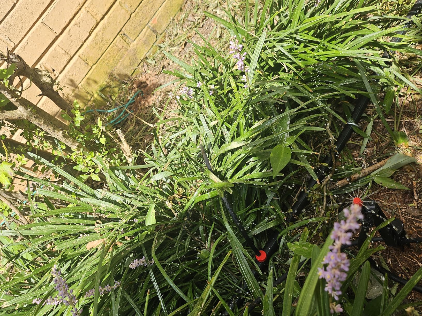 Rain Bird LNDDRIPKIT Drip Irrigation Landscape/Garden Watering Kit with Drippers, Micro-Bubblers, Micro-Sprays - Customer Photo 1