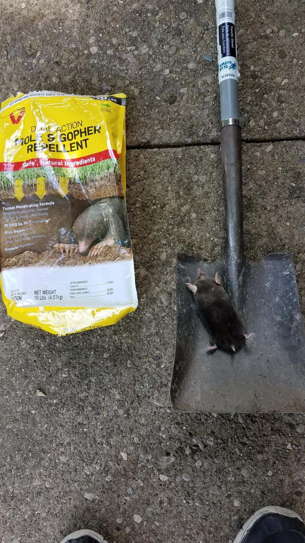 Victor Mole and Gopher Repellent - Customer Photo 1