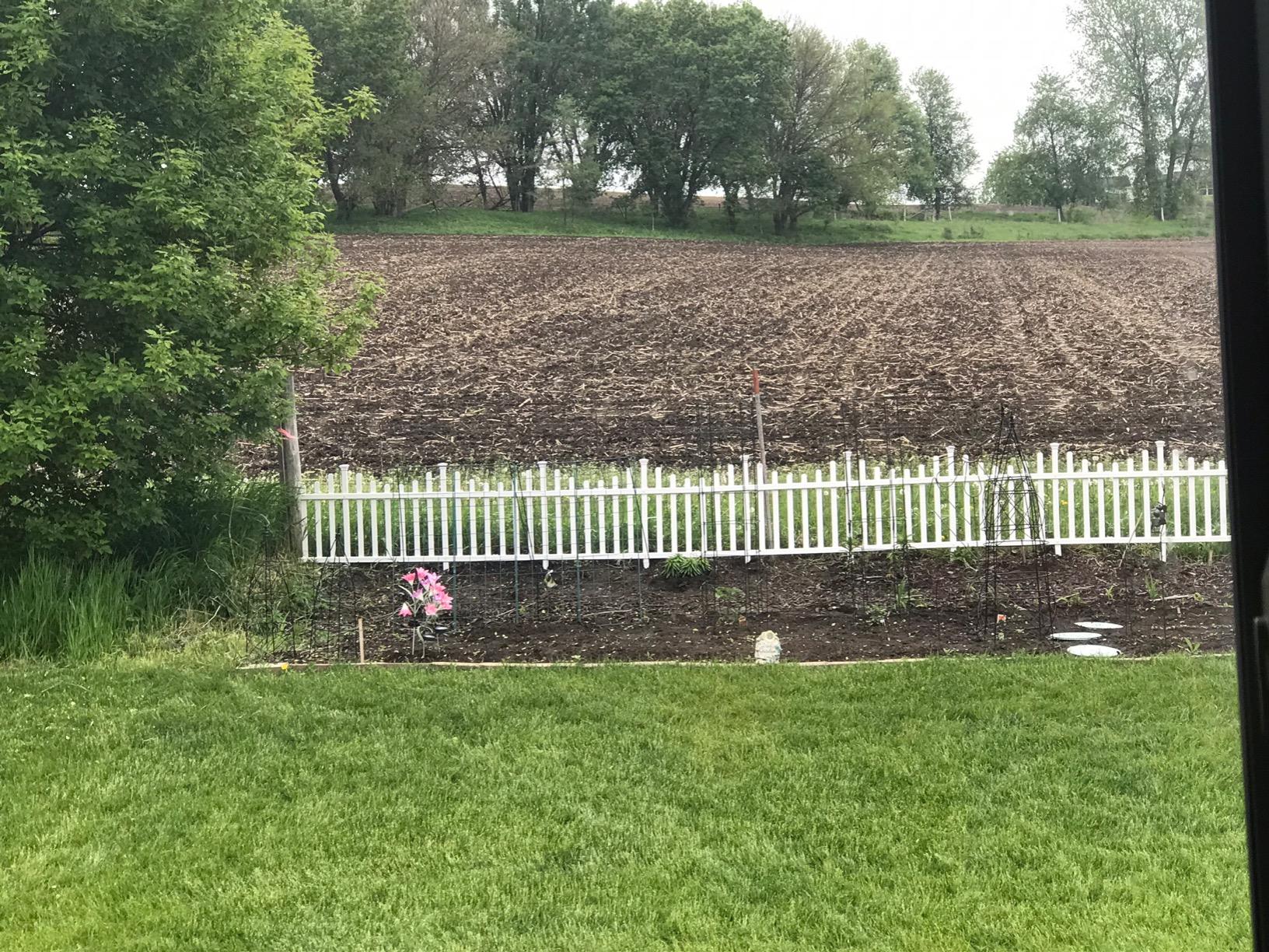 3ft H x 3.5ft W (2 Panels) No Dig Zippity Baskenridge Fence Panel Kit, Vinyl Fencing Panel, White Vinyl Fences for Yard, Temporary for Backyard, White Picket Garden Border, DIY ZP19037 - Customer Photo 1