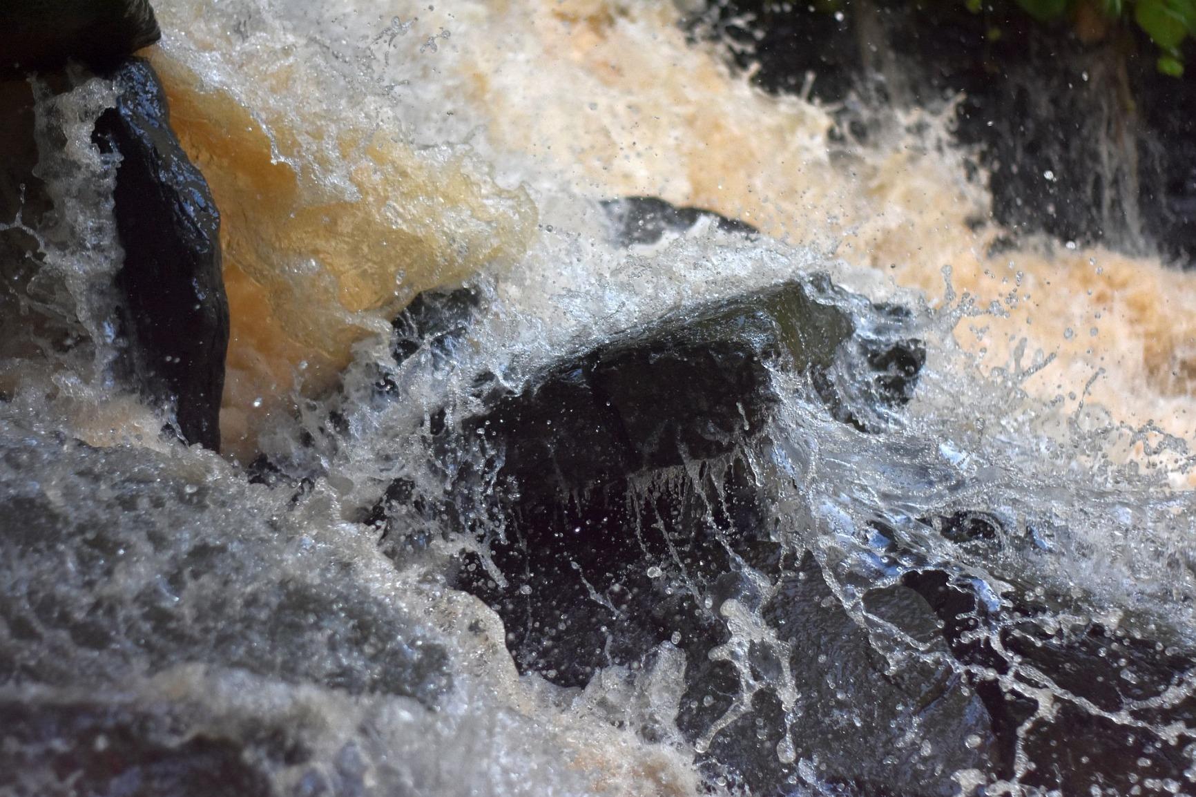 YONGNUO YN50MM F1.8 for Nikon Z Mount, 50mm F1.8Z Auto Focus Standard Prime Lens - Customer Photo 2