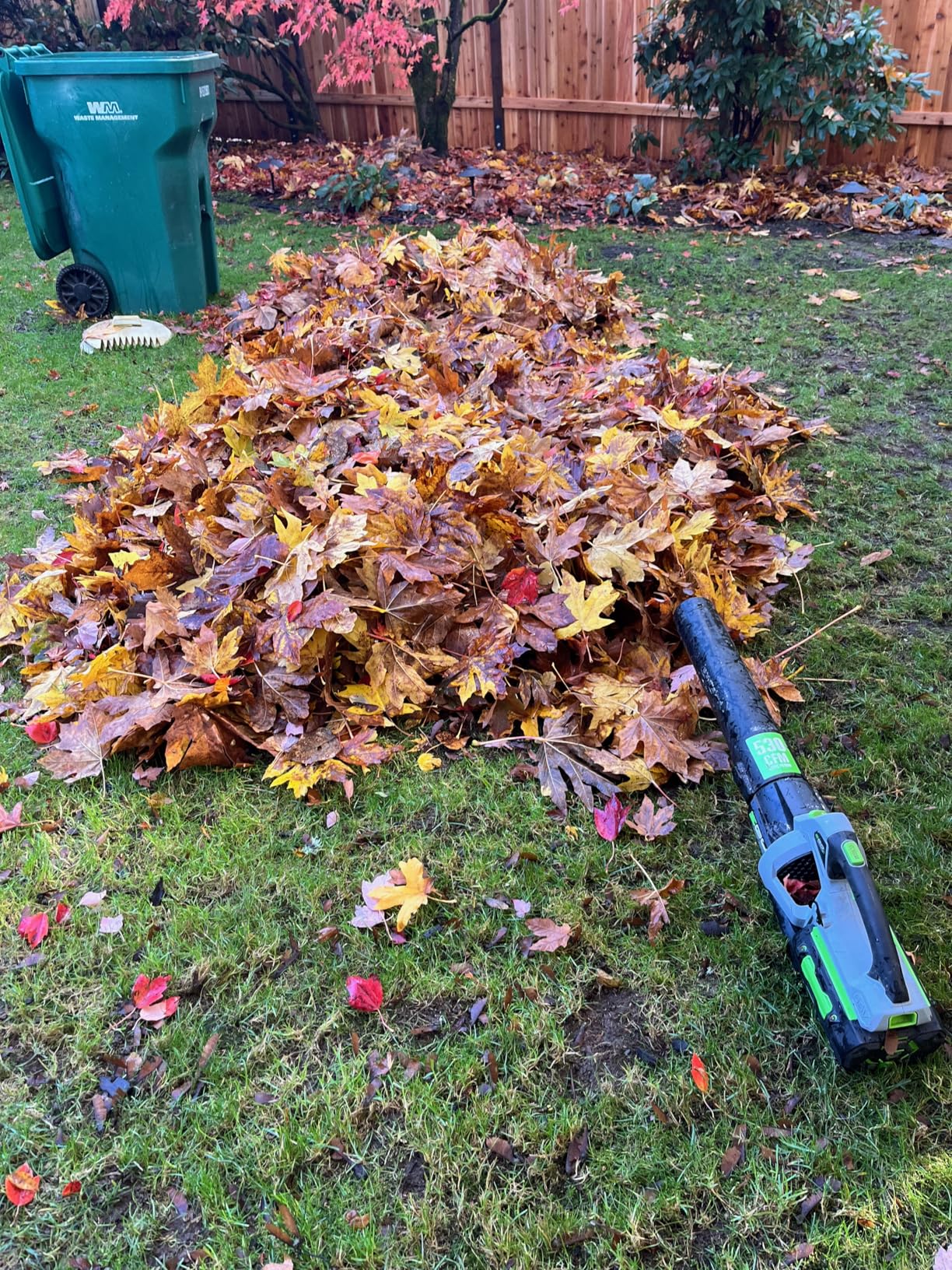 EGO POWER+ String Trimmer, Battery Powered, 15