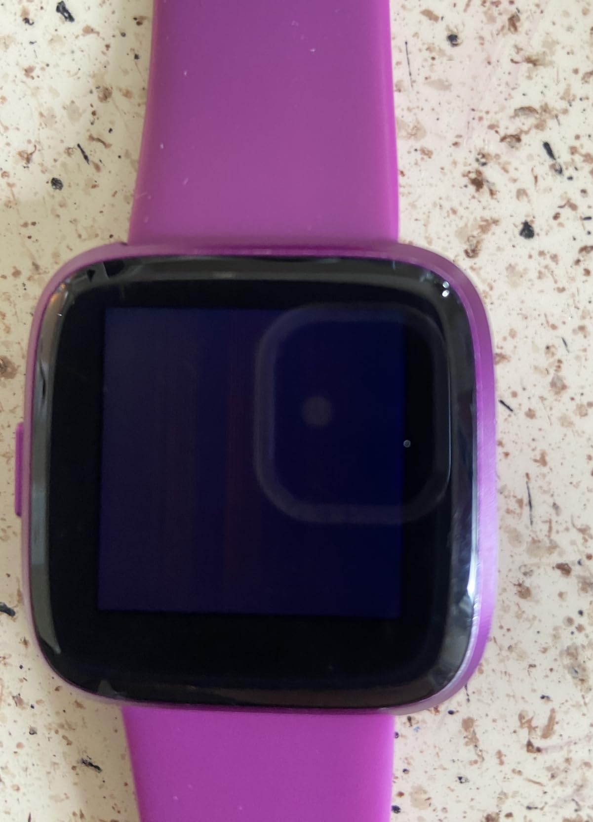 Fitbit Versa Lite Edition Smart Watch, compatible with iPad, One Size (S & L bands included), 1 Count (Renewed) - Customer Photo 2