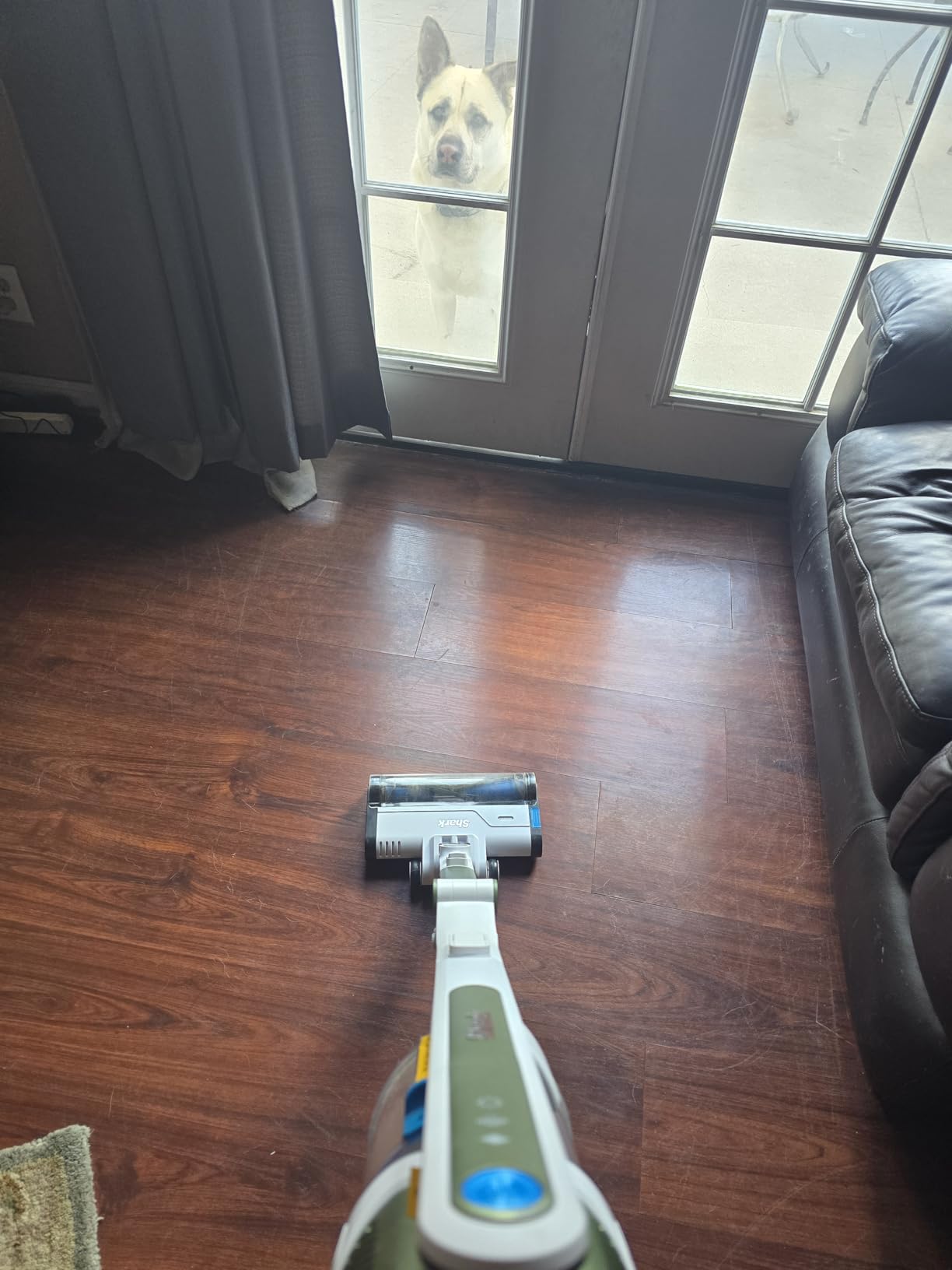 Shark Pet Cordless Vacuum Cleaner | LED Headlights | Removable Handheld Vacuum for Pet Hair | Crevice Tool & Pet Multi-Tool Included | 40min Runtime | For Carpet & Hard Floors | Grey | IX141 - Customer Photo 1