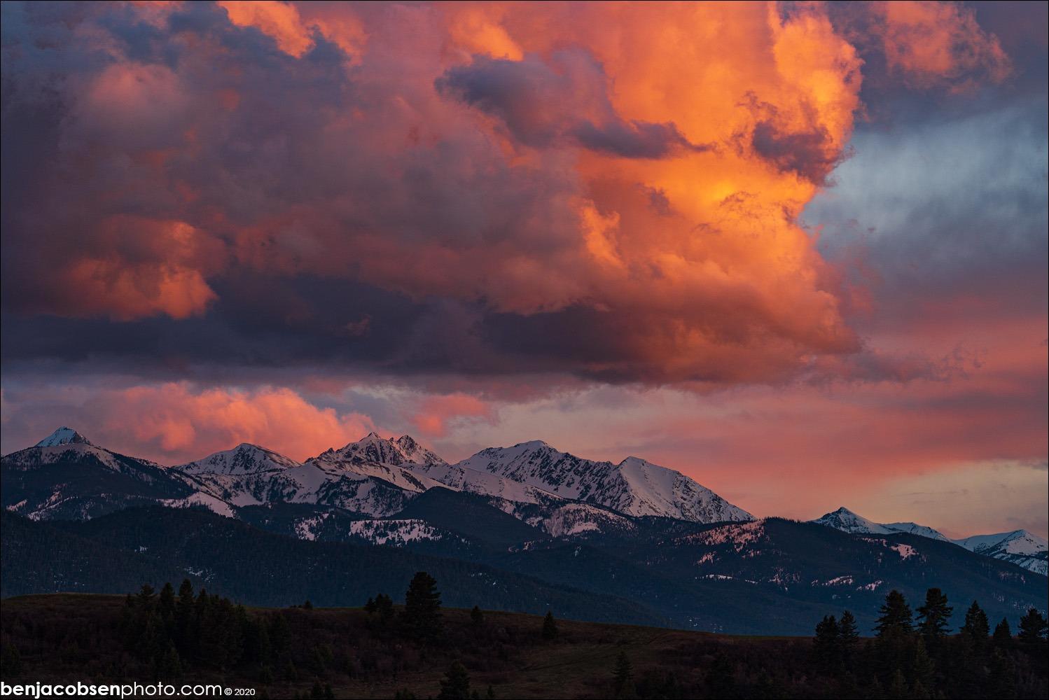 Sony FE 200-600mm F5.6-6.3 G OSS Super Telephoto Zoom Lens - Customer Photo 1